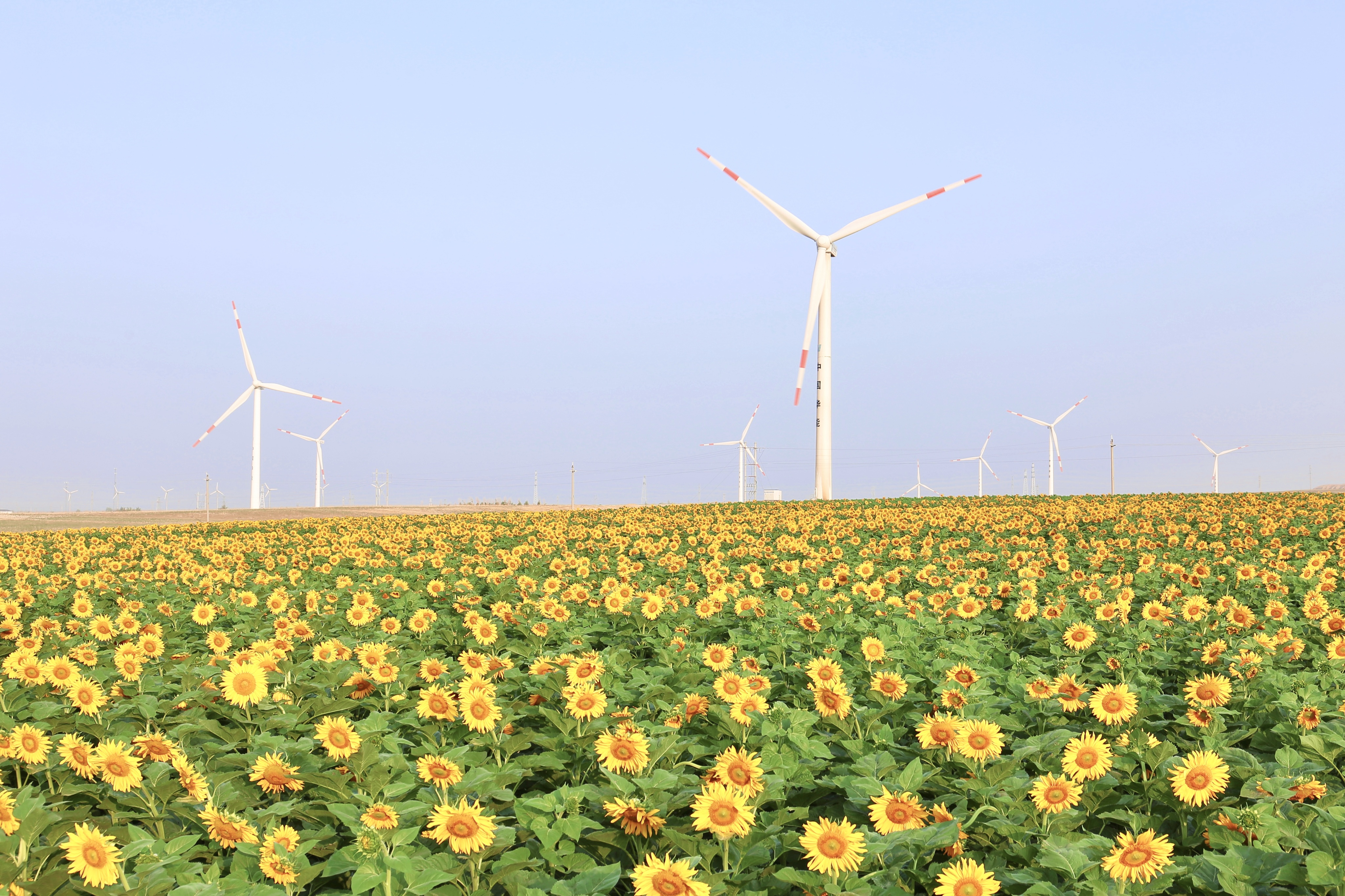 威尼斯9499登錄入口股份助力推動風(fēng)電場控制技術(shù)國際研發(fā)項目順利實施