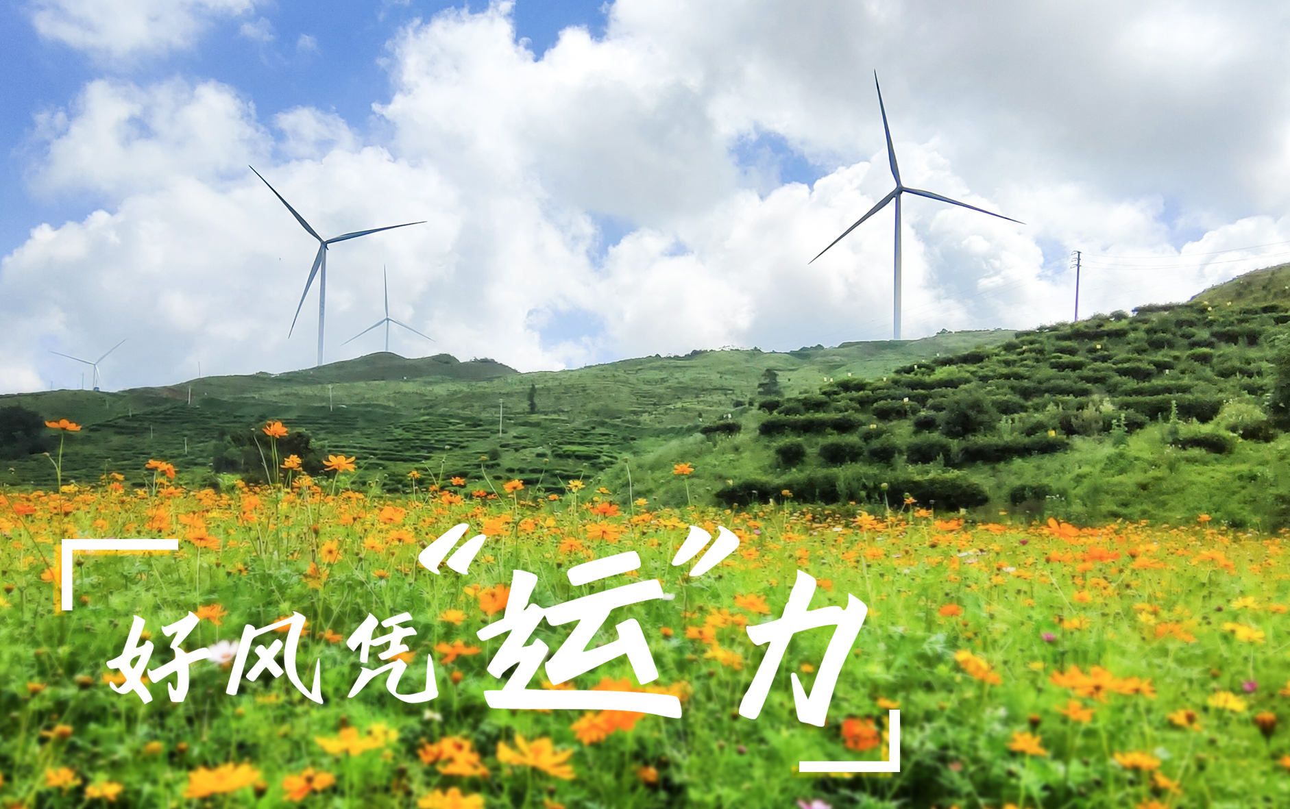 【好風(fēng)憑&ldquo;運&rdquo;力】&ldquo;大風(fēng)車&rdquo;轉(zhuǎn)出鄉(xiāng)村振興新路子